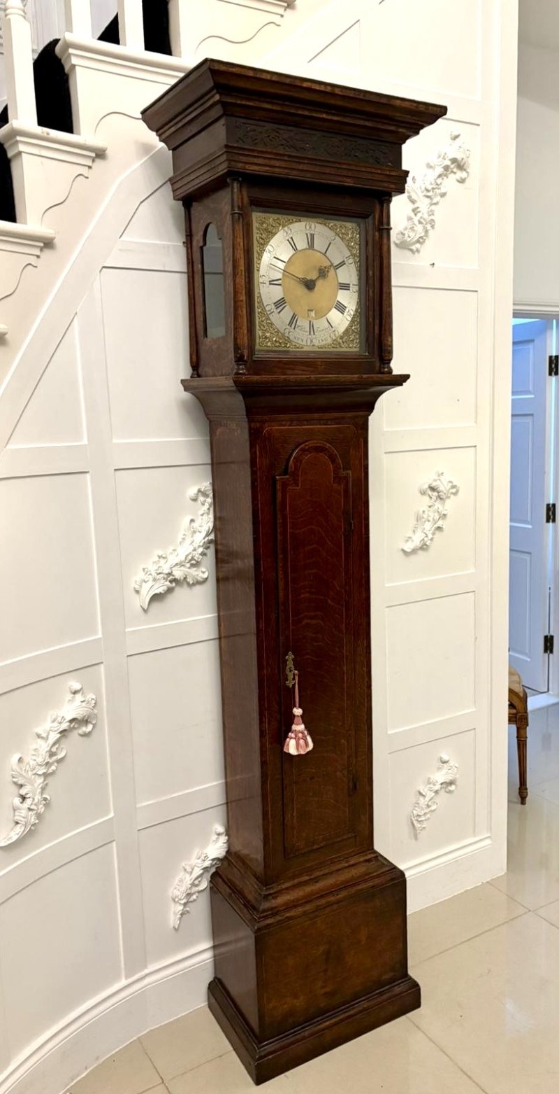 Outstanding Quality Antique George III Oak and Burr Oak Brass Face Longcase Clock - Image 2